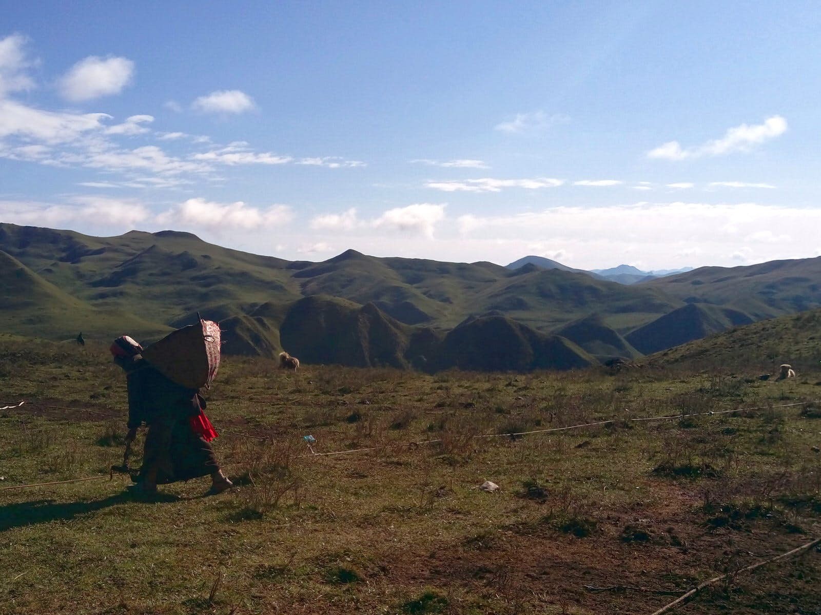 Dormir sous des poils de yak :la vie avec les nomades tibétains du Gansu 