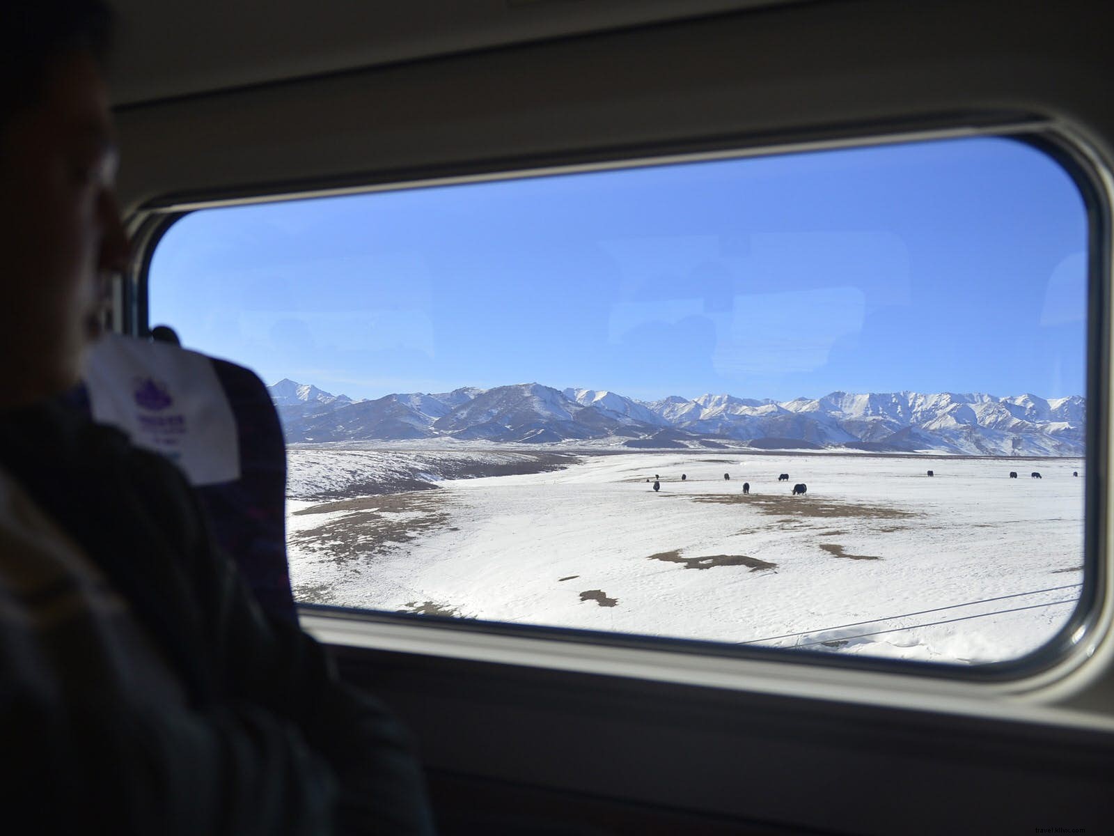 黄河の西：甘粛省を通る遠い旅 