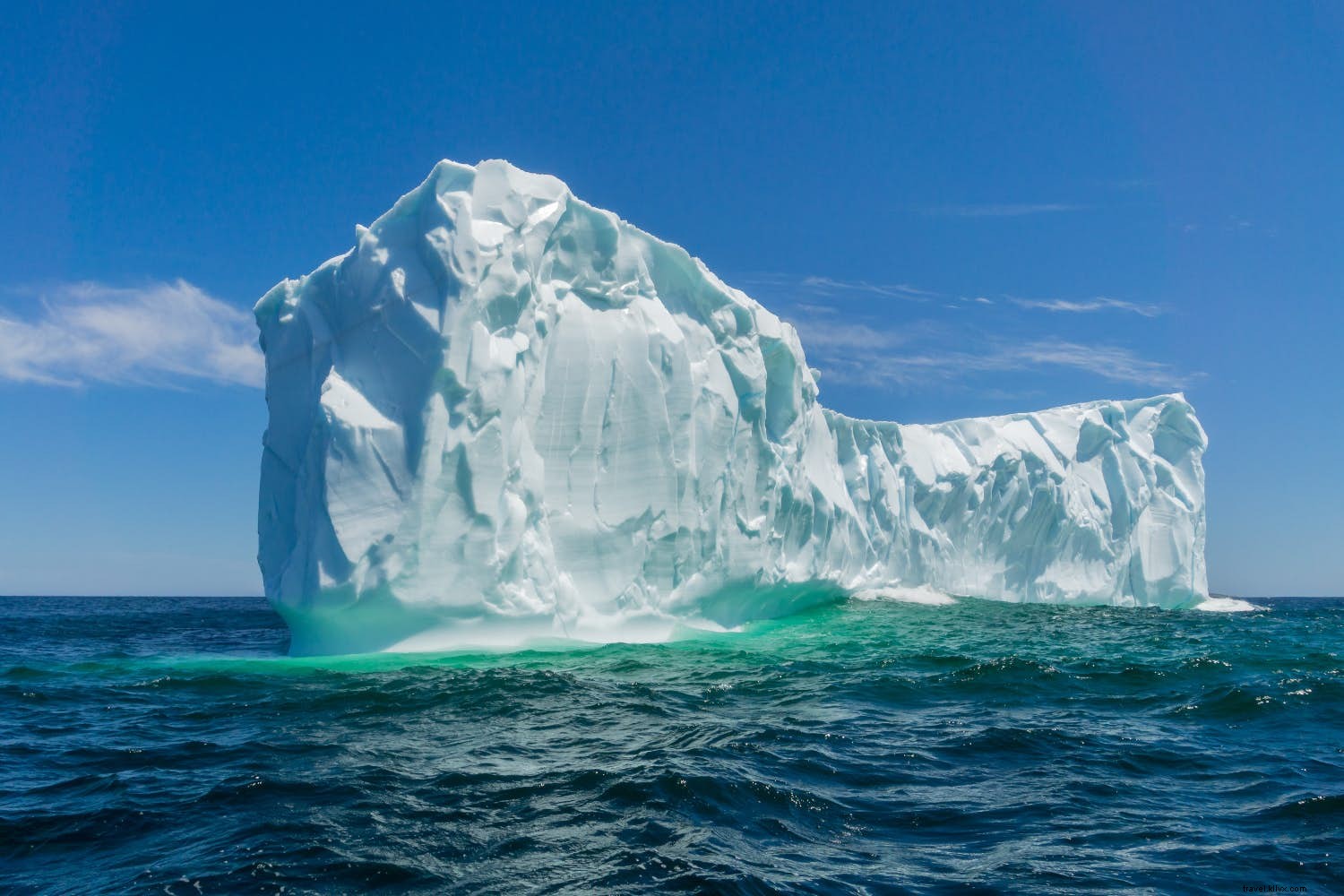野生生物と自然のために5月に行く場所 