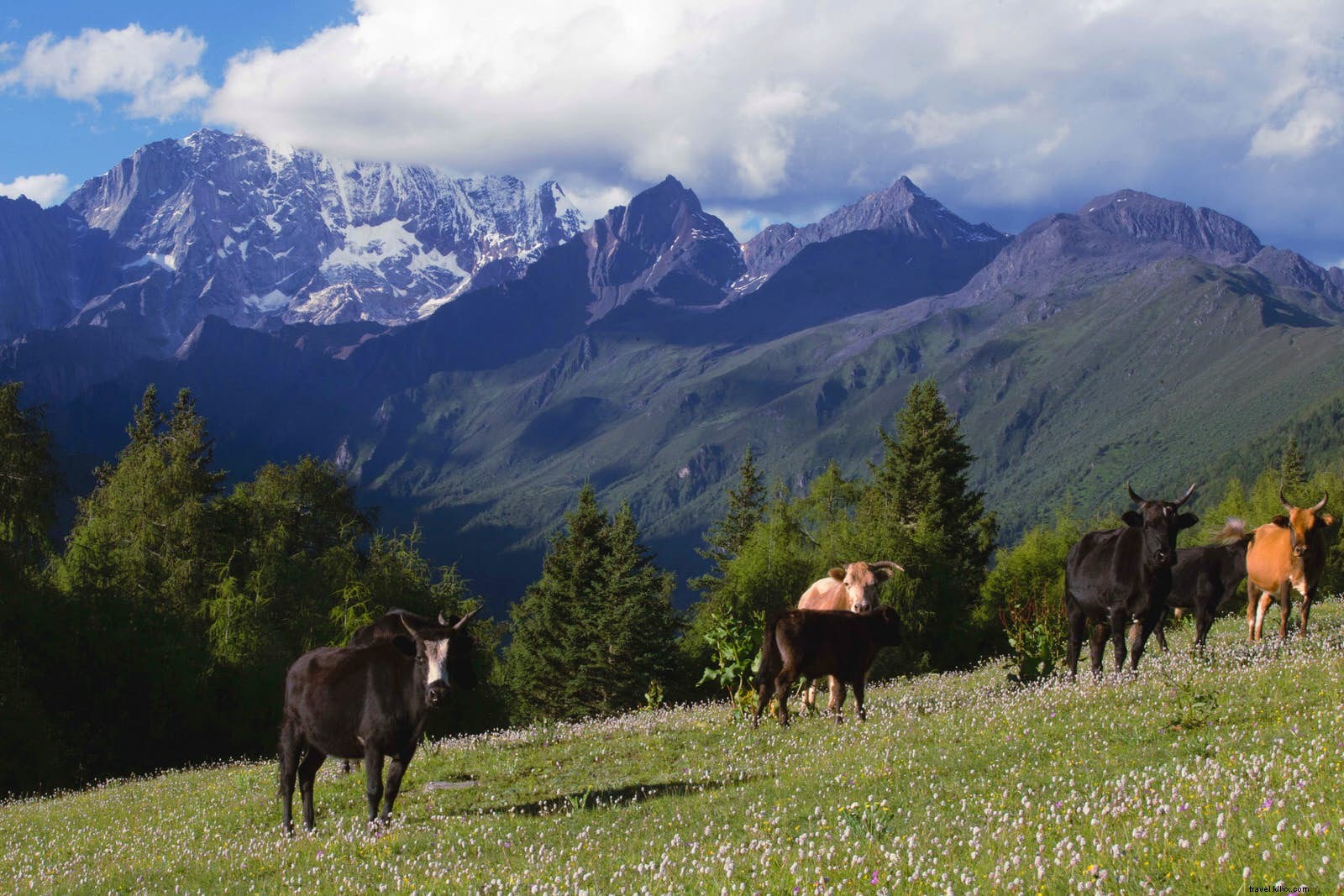 Alla ricerca di quattro sorelle:valli segrete dell Himalaya del Sichuan 