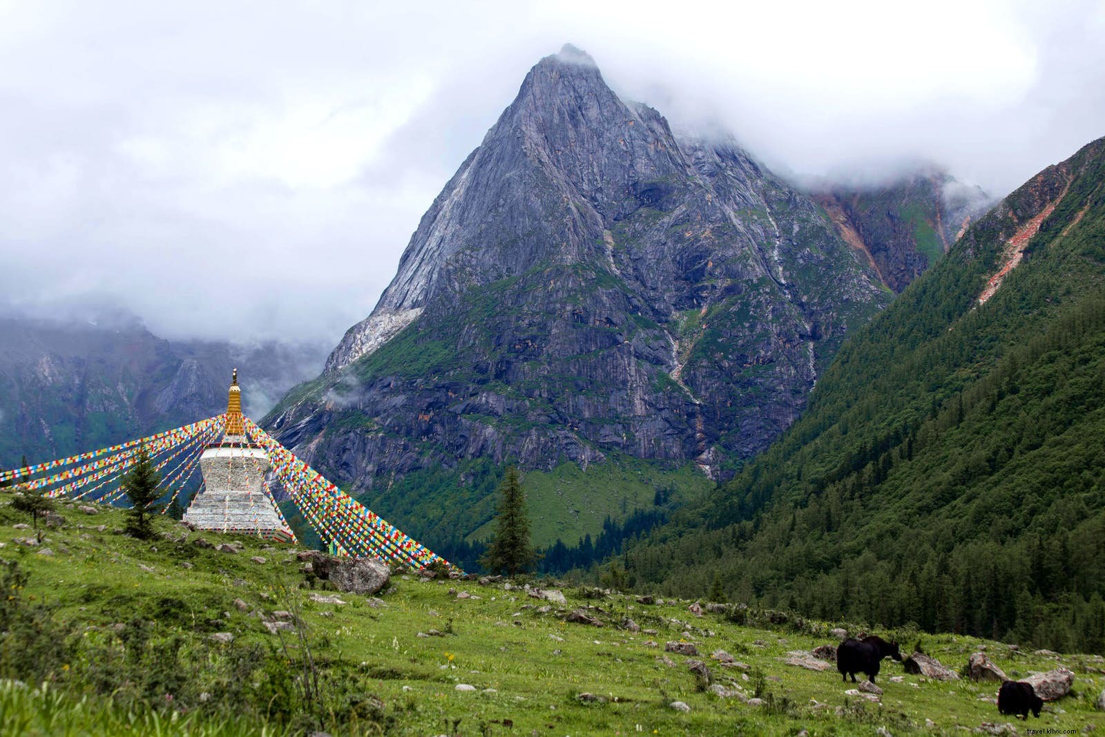 Alla ricerca di quattro sorelle:valli segrete dell Himalaya del Sichuan 