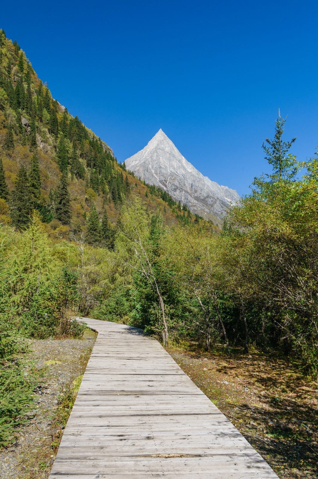 Finding Four Sisters:lembah rahasia Himalaya Sichuan