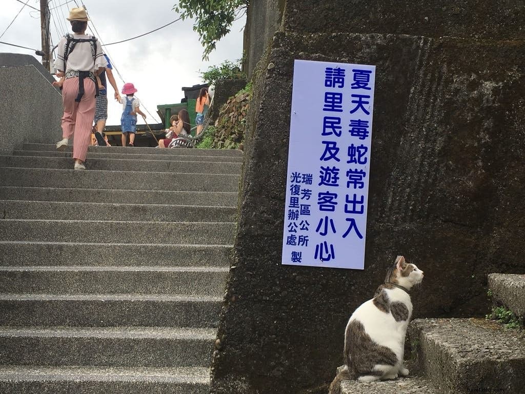 Bem-vindo ao purridise:Houtong Cat Village de Taiwan 