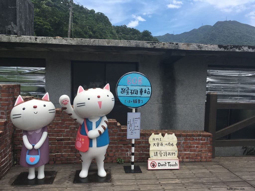 Benvenuti a purridise:l Houtong Cat Village di Taiwan 