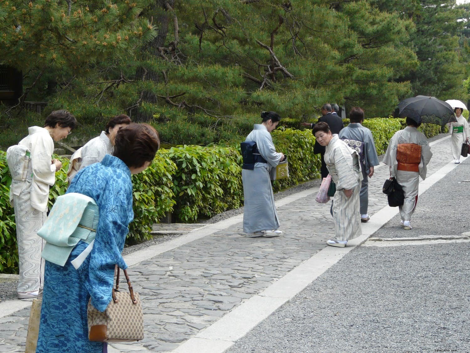 À faire et à ne pas faire au Japon :conseils d étiquette pour les voyageurs novices 
