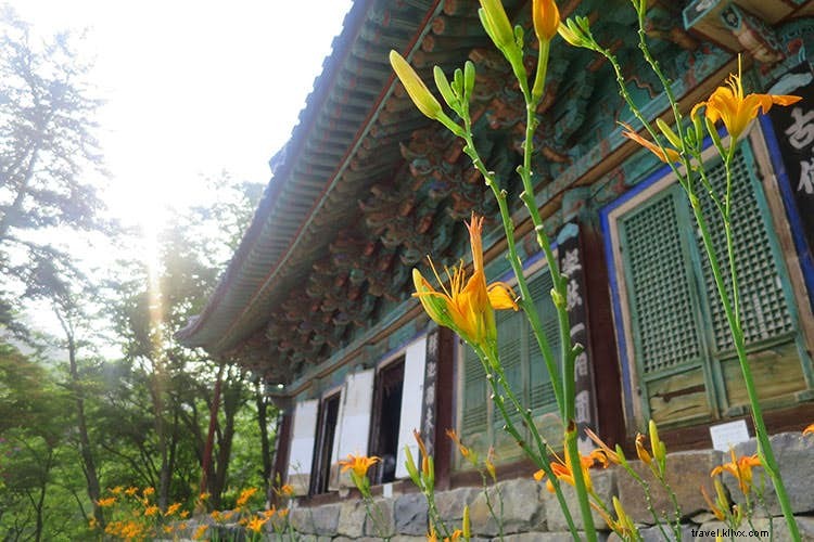 Retiro Zen:um guia para iniciantes em estadias em templos coreanos 