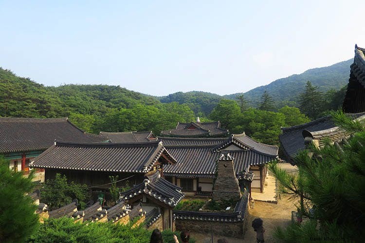 Retiro zen:una guía para principiantes sobre estancias en templos coreanos 