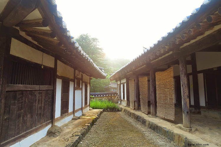 Ritiro Zen:una guida per principianti ai soggiorni nei templi coreani 