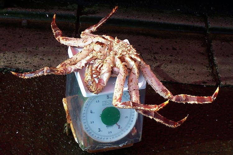 Los 10 mejores lugares culinarios de Japón 