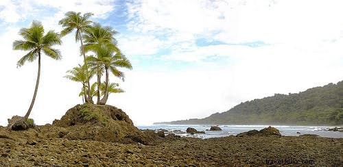 Fangtastic! Os melhores locais de observação de vampiros do mundo. 