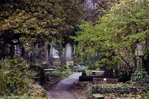 Fangtastic! Os melhores locais de observação de vampiros do mundo. 