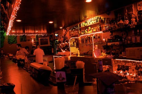 Fangtastic! Os melhores locais de observação de vampiros do mundo. 