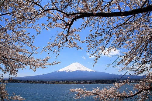 日本のハイキングエリアトップ5 