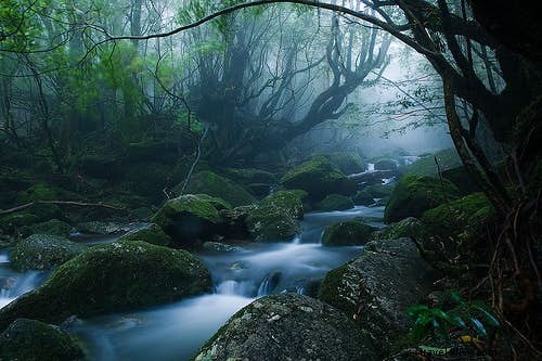 日本のハイキングエリアトップ5 