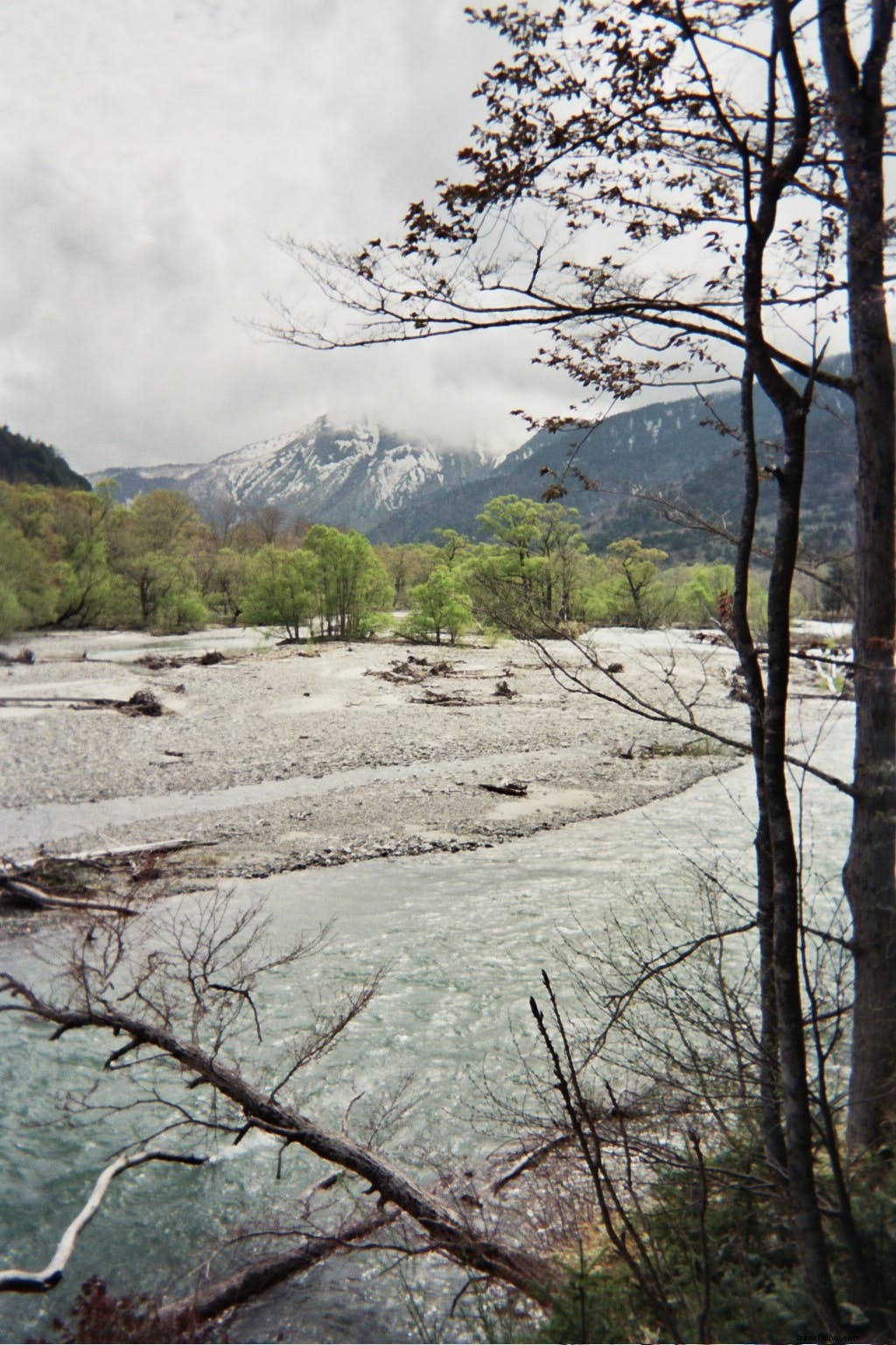 Vuelve a la naturaleza en Japón 