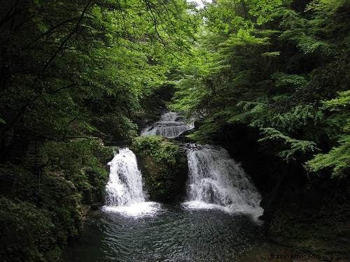 Vuelve a la naturaleza en Japón 