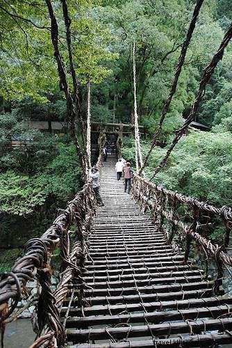 Vuelve a la naturaleza en Japón 