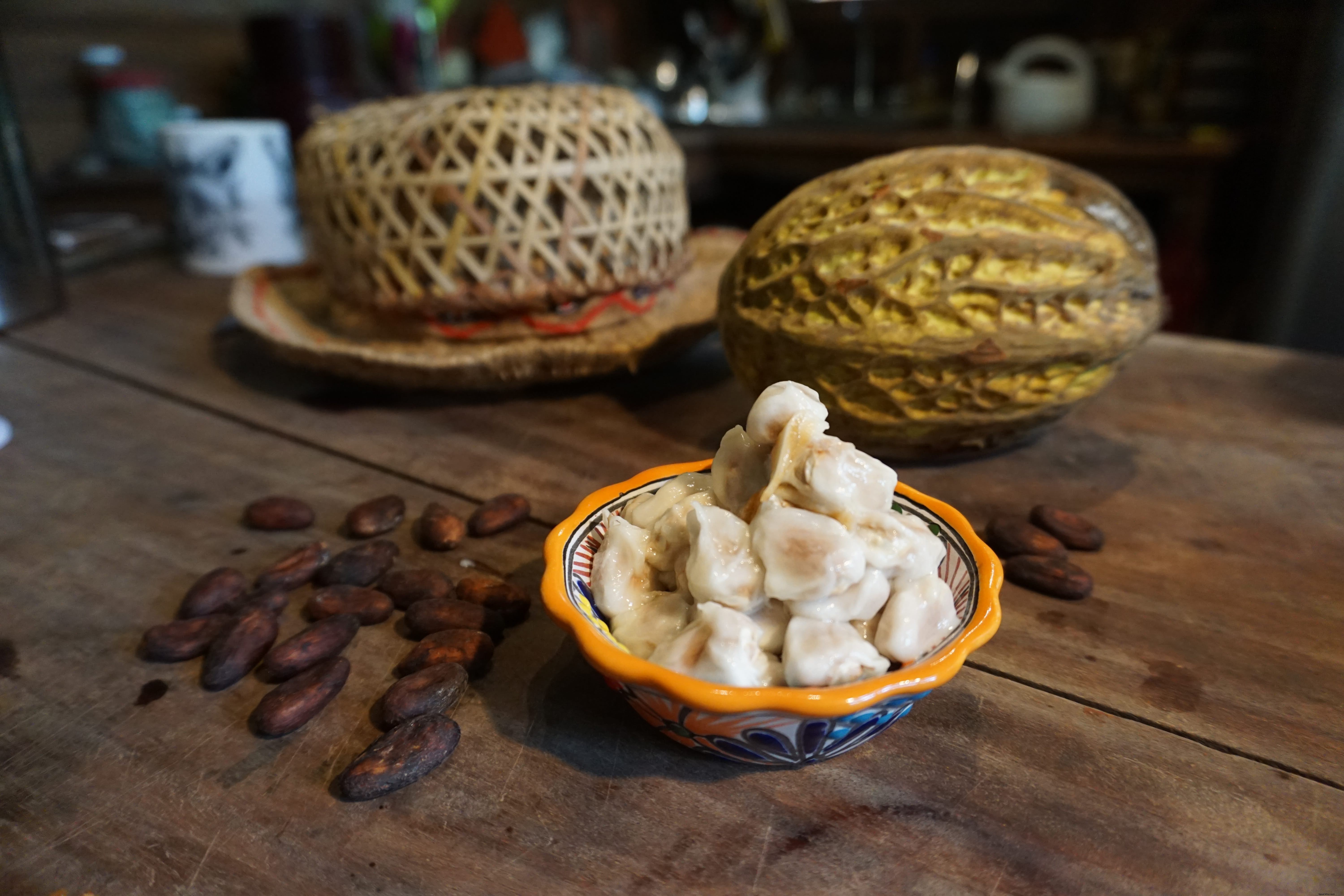 Pourquoi devriez-vous faire un tour du cacao en Amérique latine 