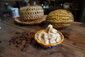 Mengapa Anda harus mengikuti tur kakao di Amerika Latin 