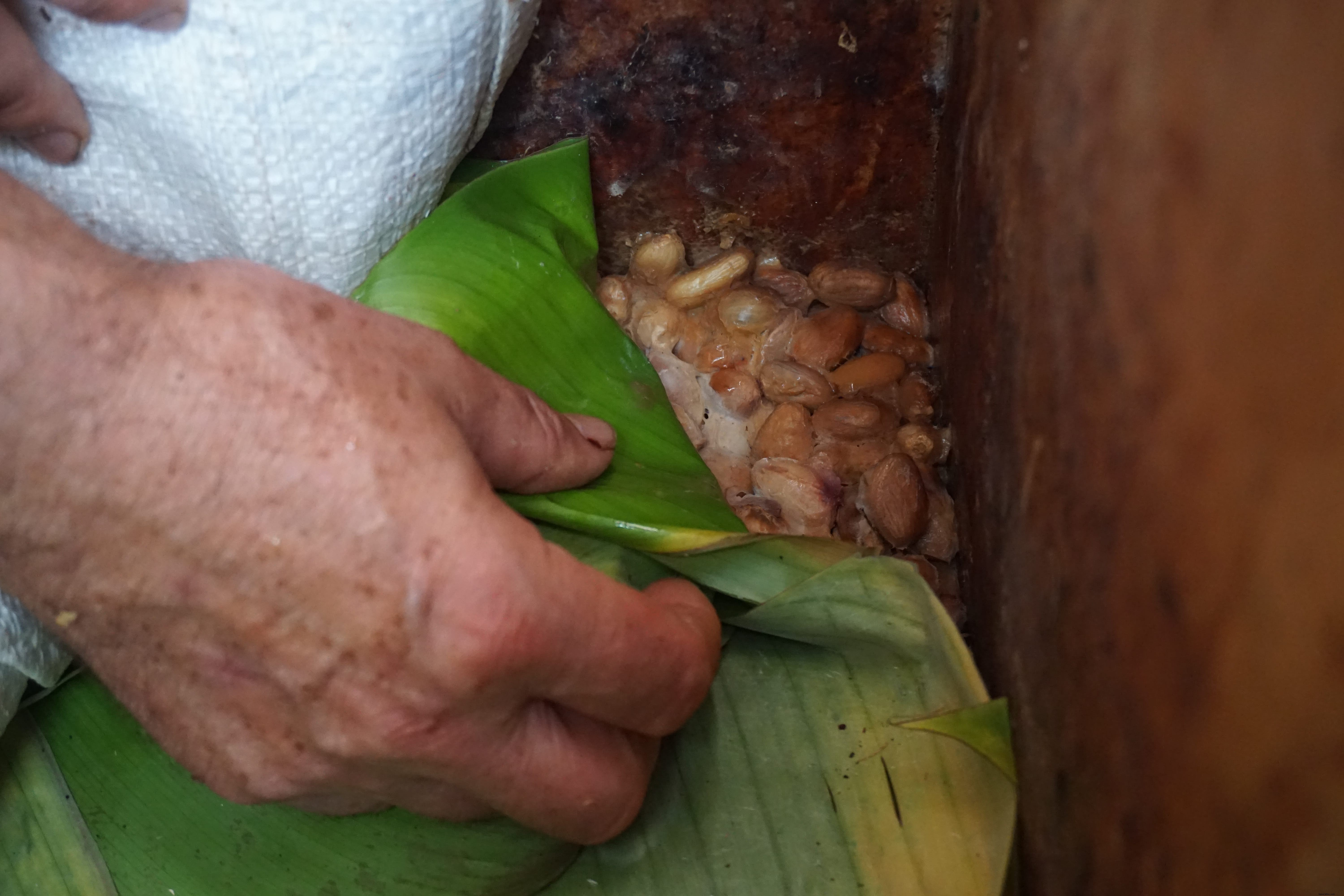 Perché dovresti fare un tour del cacao in America Latina 