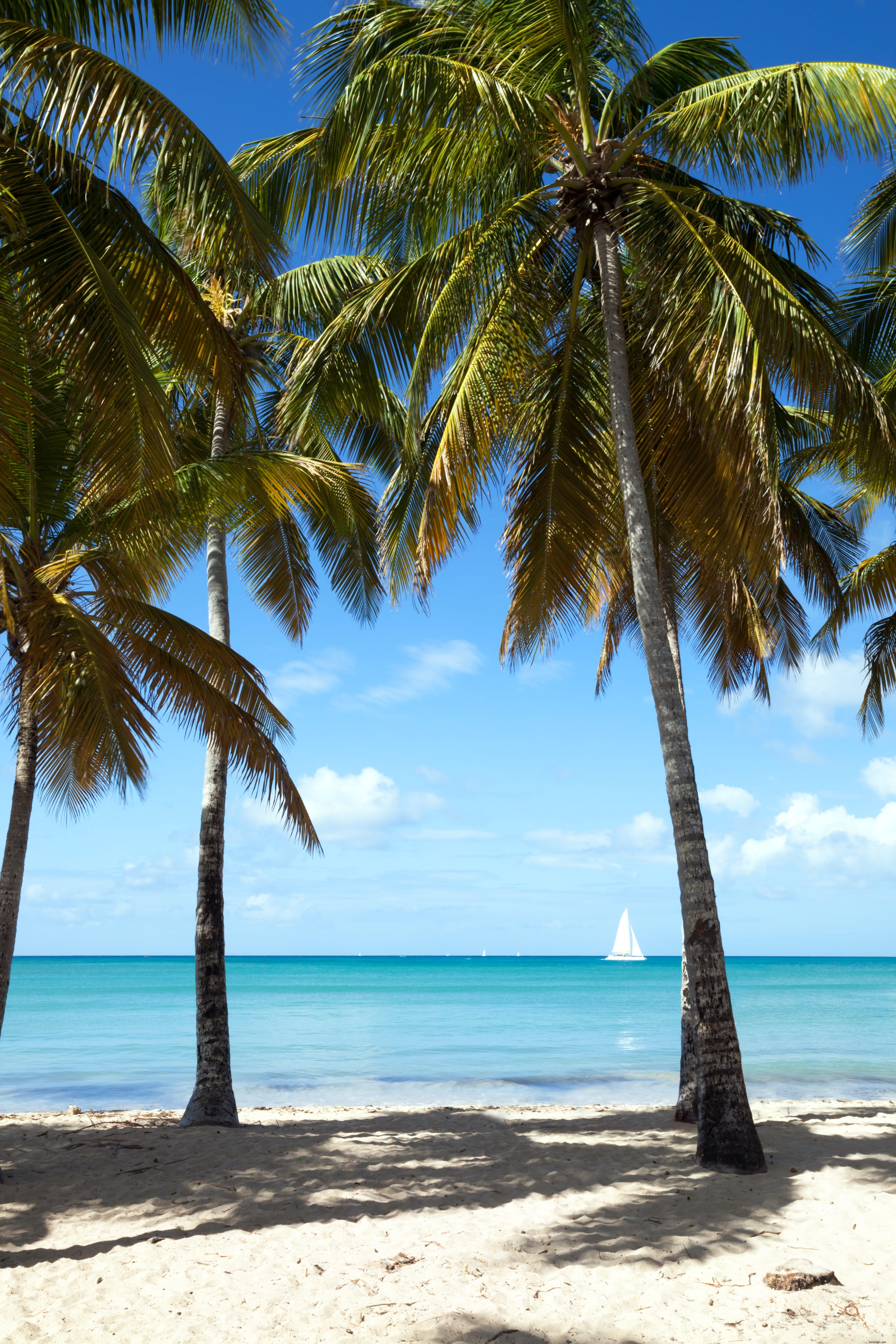 5 pulau ini adalah rahasia terbaik Karibia 