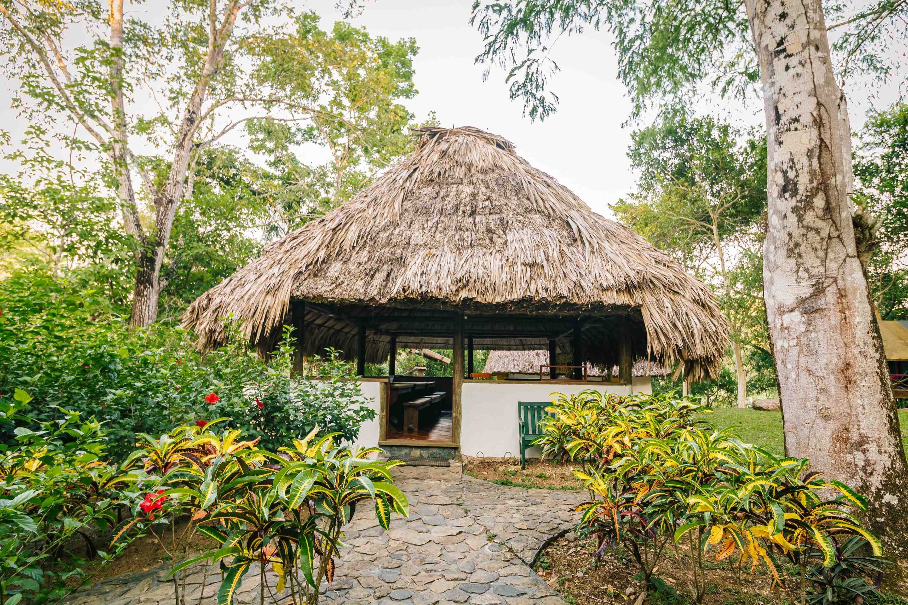 Belize revela um eco-resort econômico no coração da selva 
