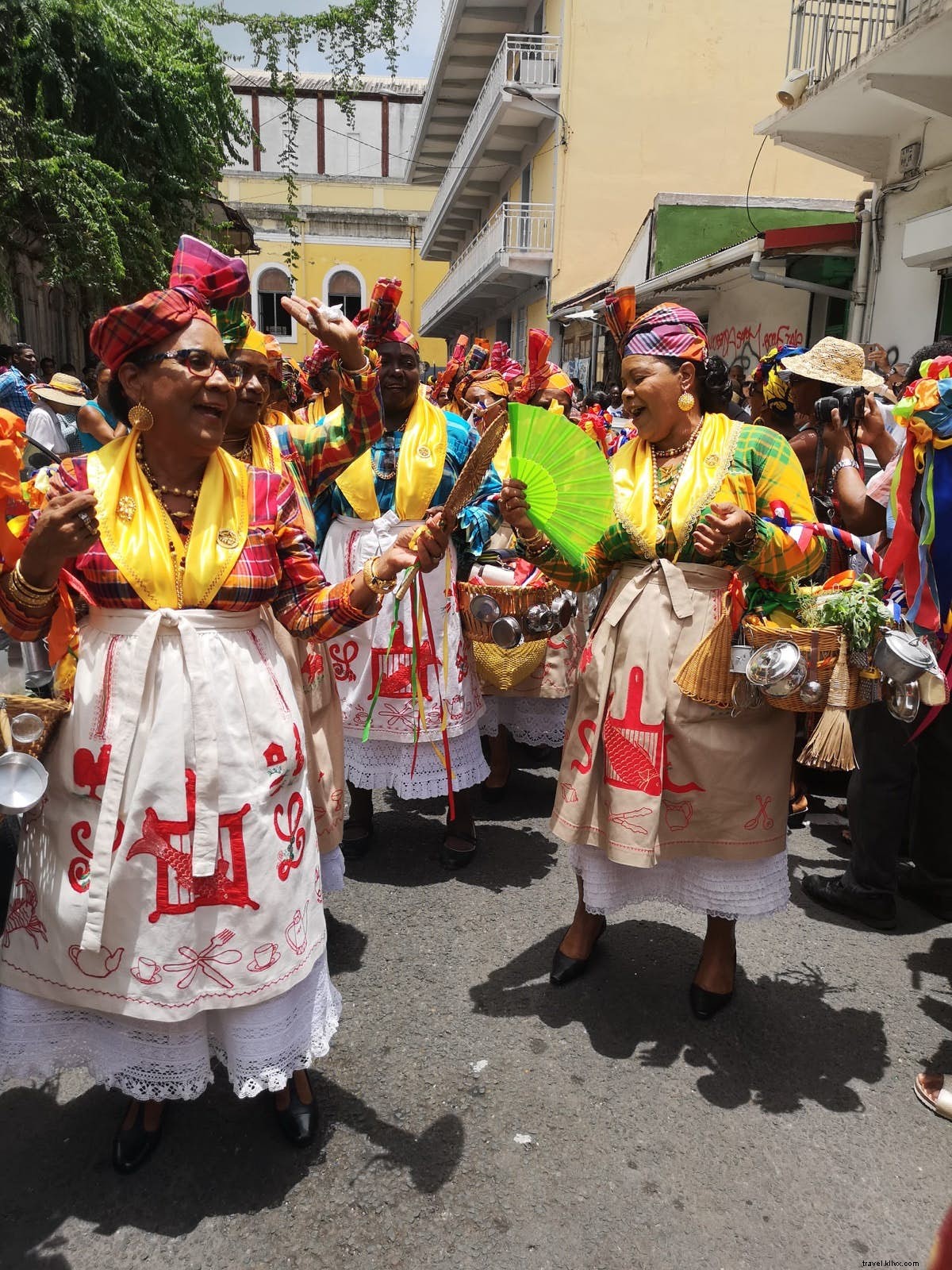 Faune, plages et rhum :embrasser le charme rustique de la Guadeloupe 