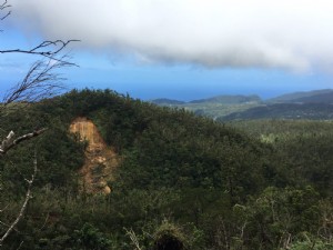 Faire une promenade, Dominique :l île la plus aventureuse des Caraïbes 