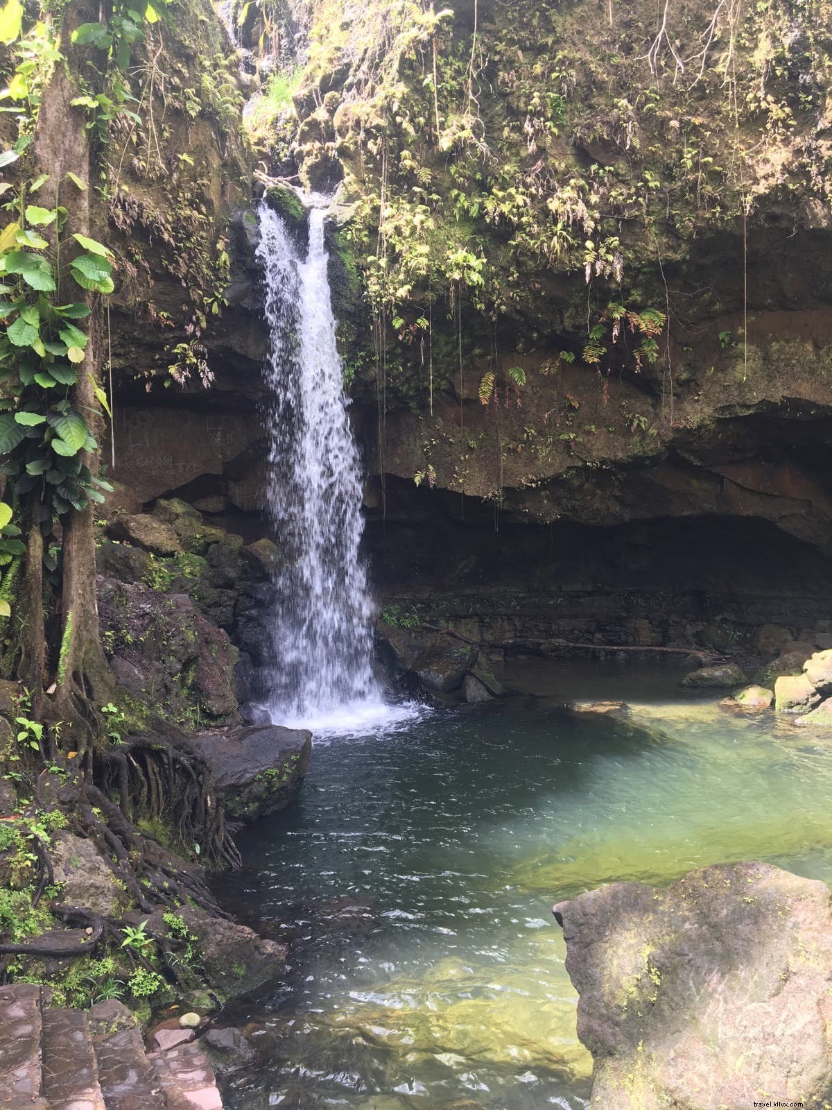 Fare una gita, Dominica:l isola più avventurosa dei Caraibi 