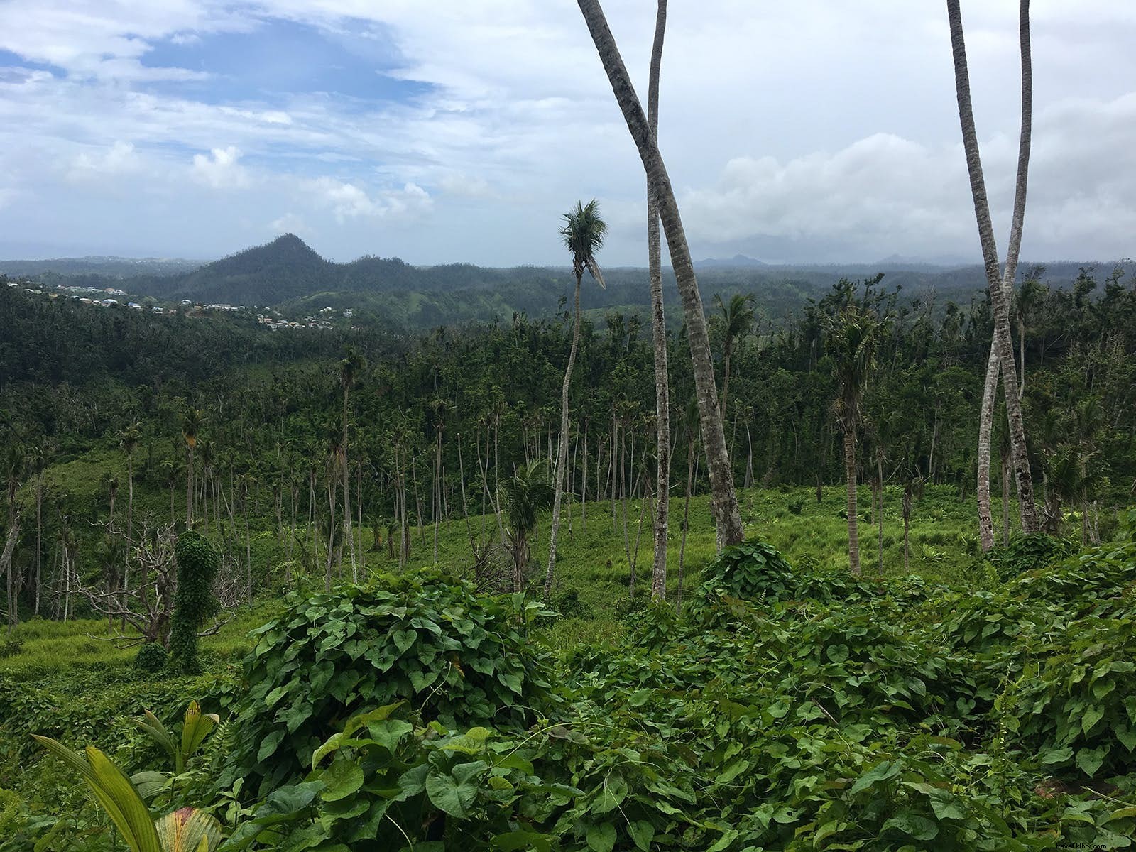 Hacer una caminata, Dominica:la isla más aventurera del Caribe 