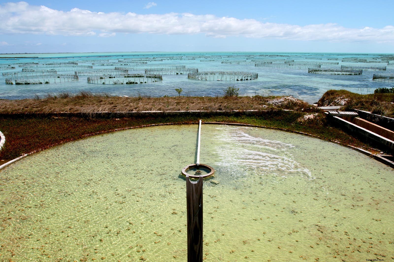 Descobrindo a história e cultura de Turks e Caicos 