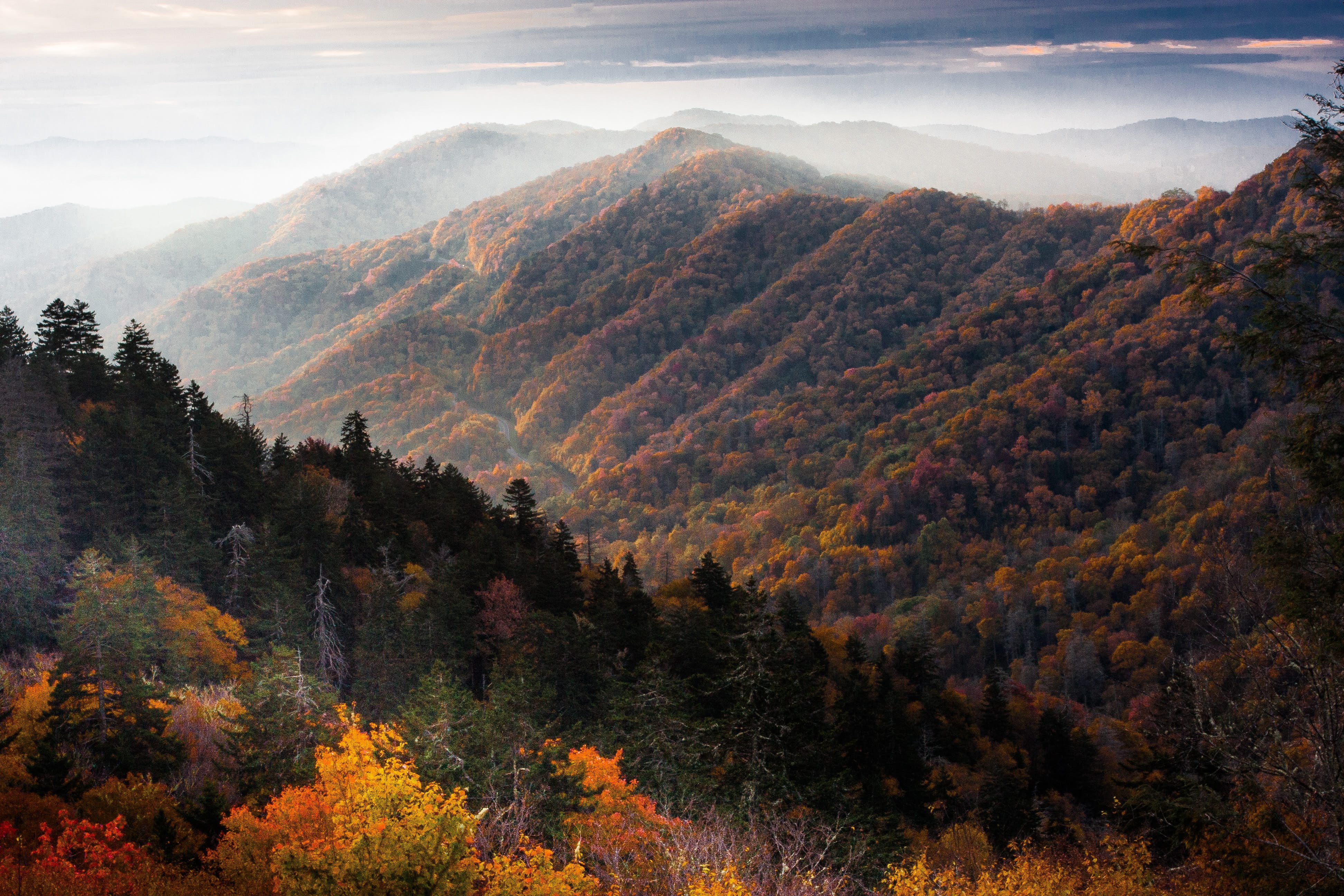 Parc national des Great Smoky Mountains 