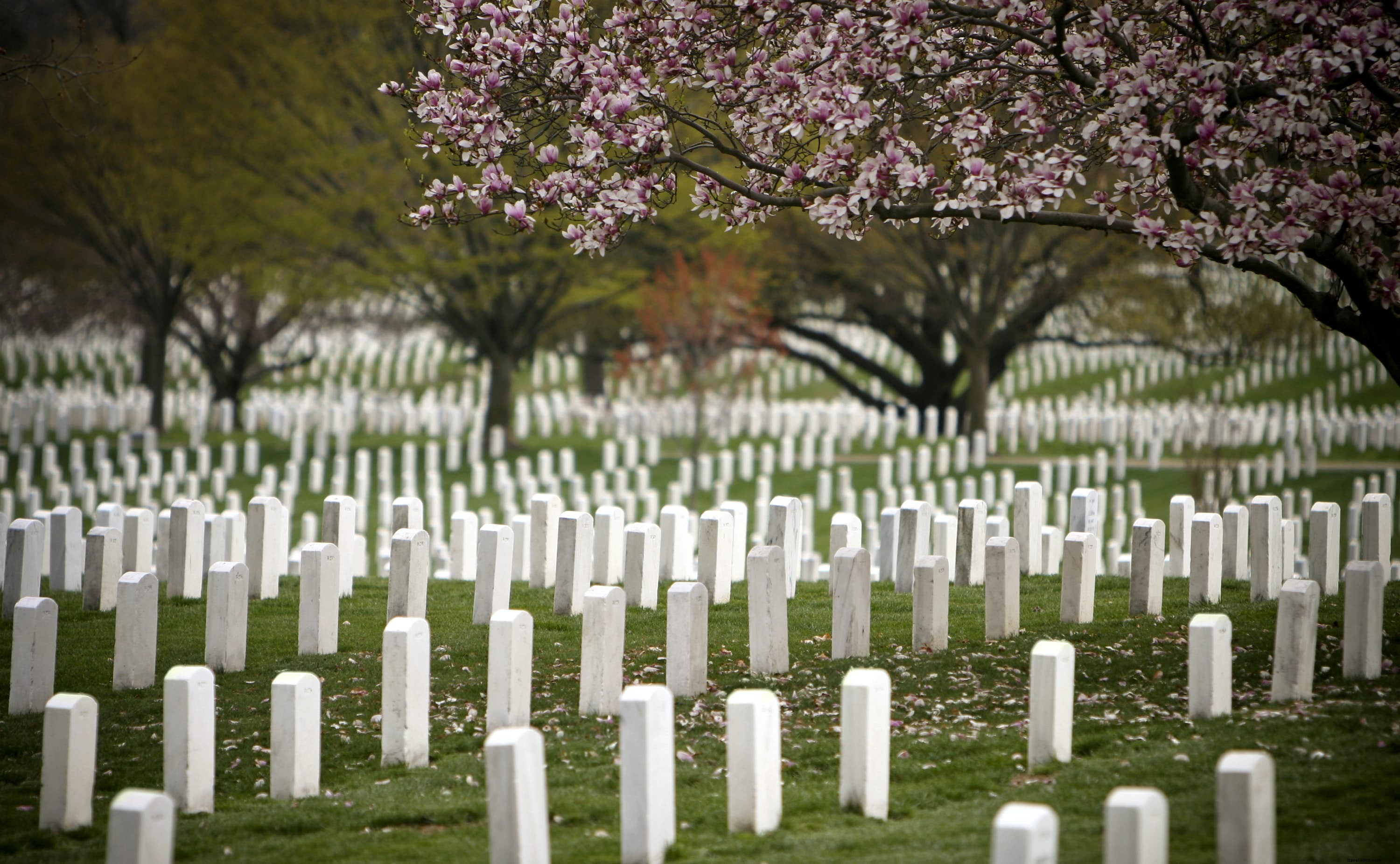 Cimitero nazionale di Arlington 