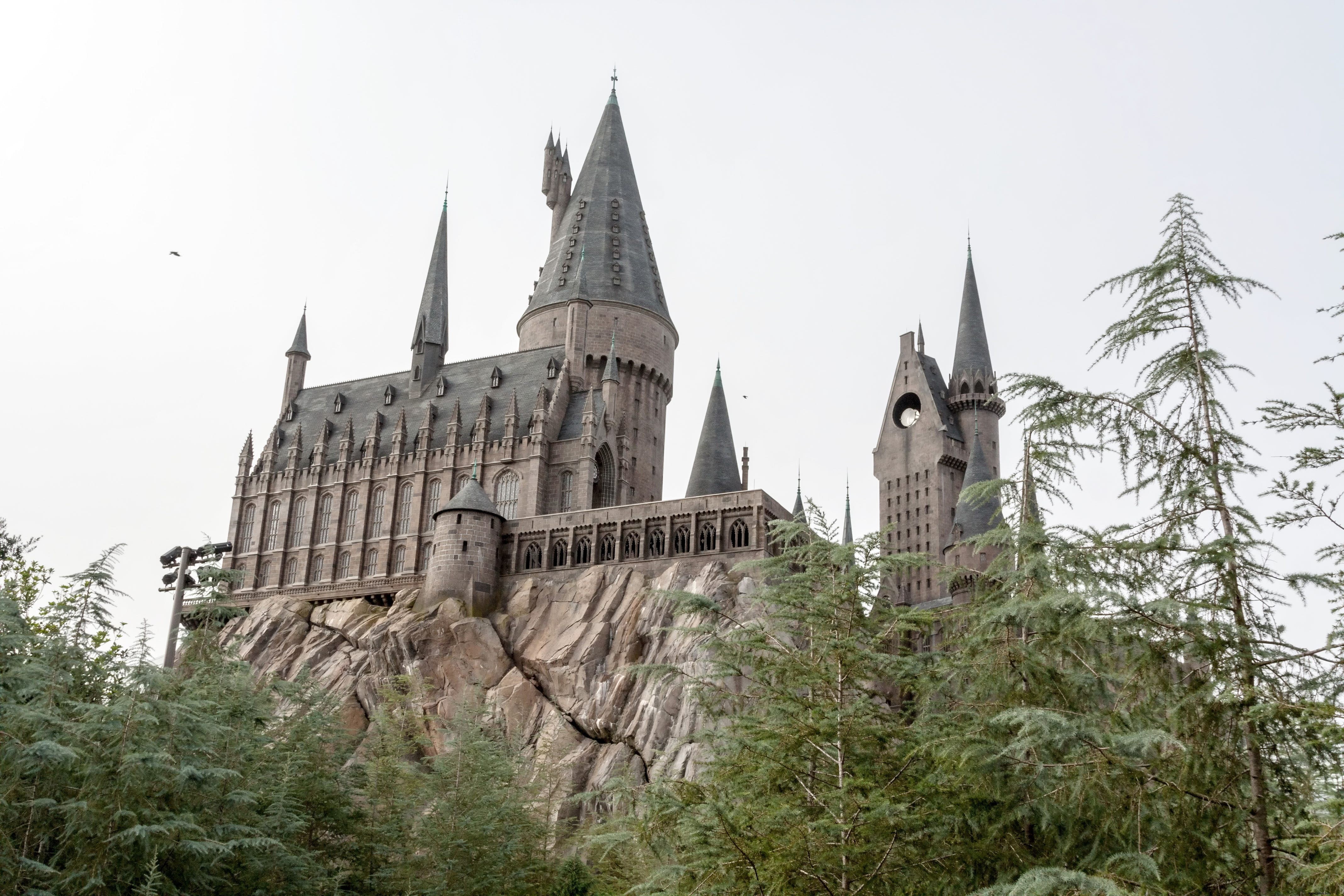 Il mondo magico di Harry Potter 
