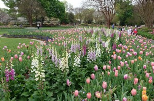 Dallas Arboretum &Kebun Raya 