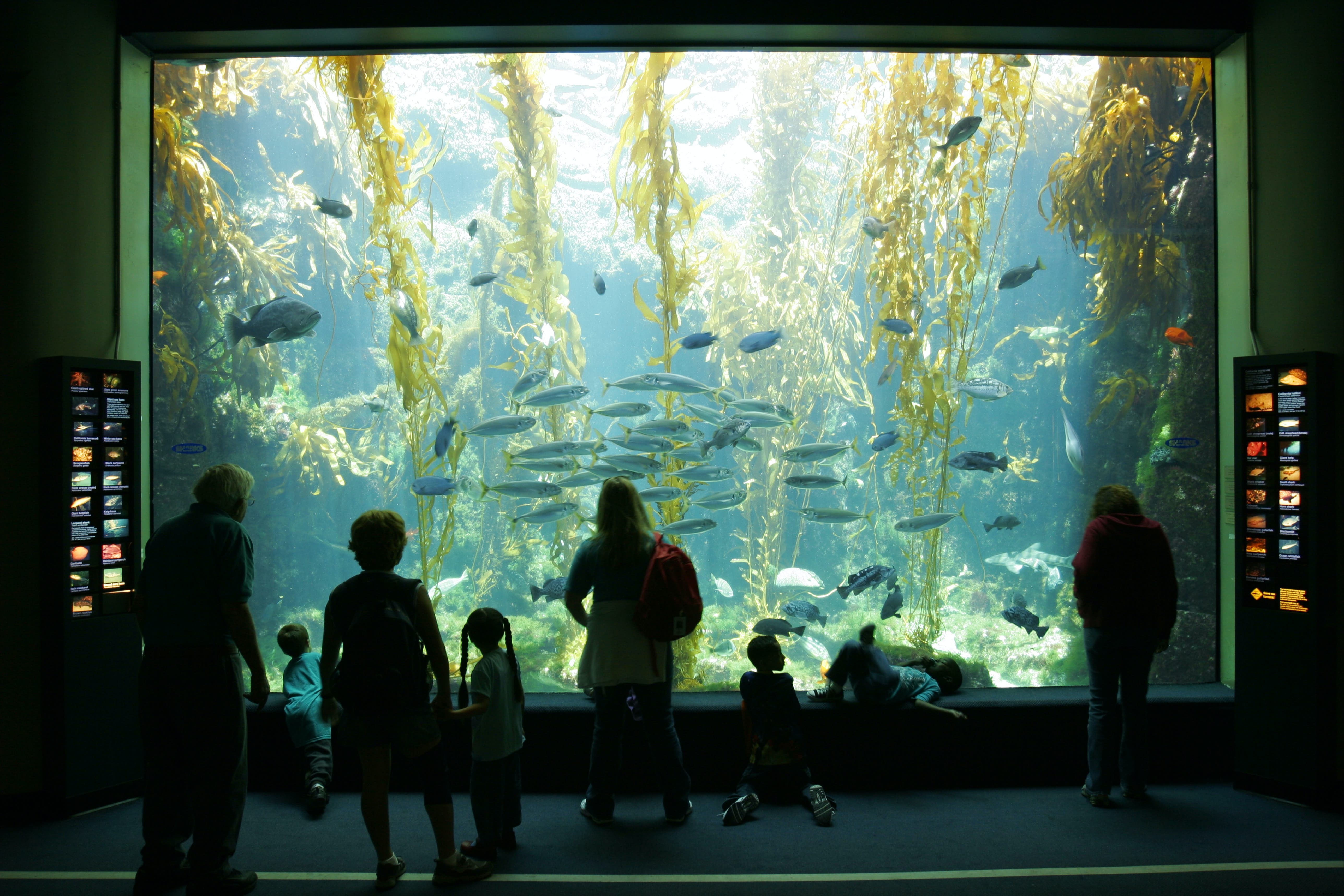 スクリップスのバーチ水族館 