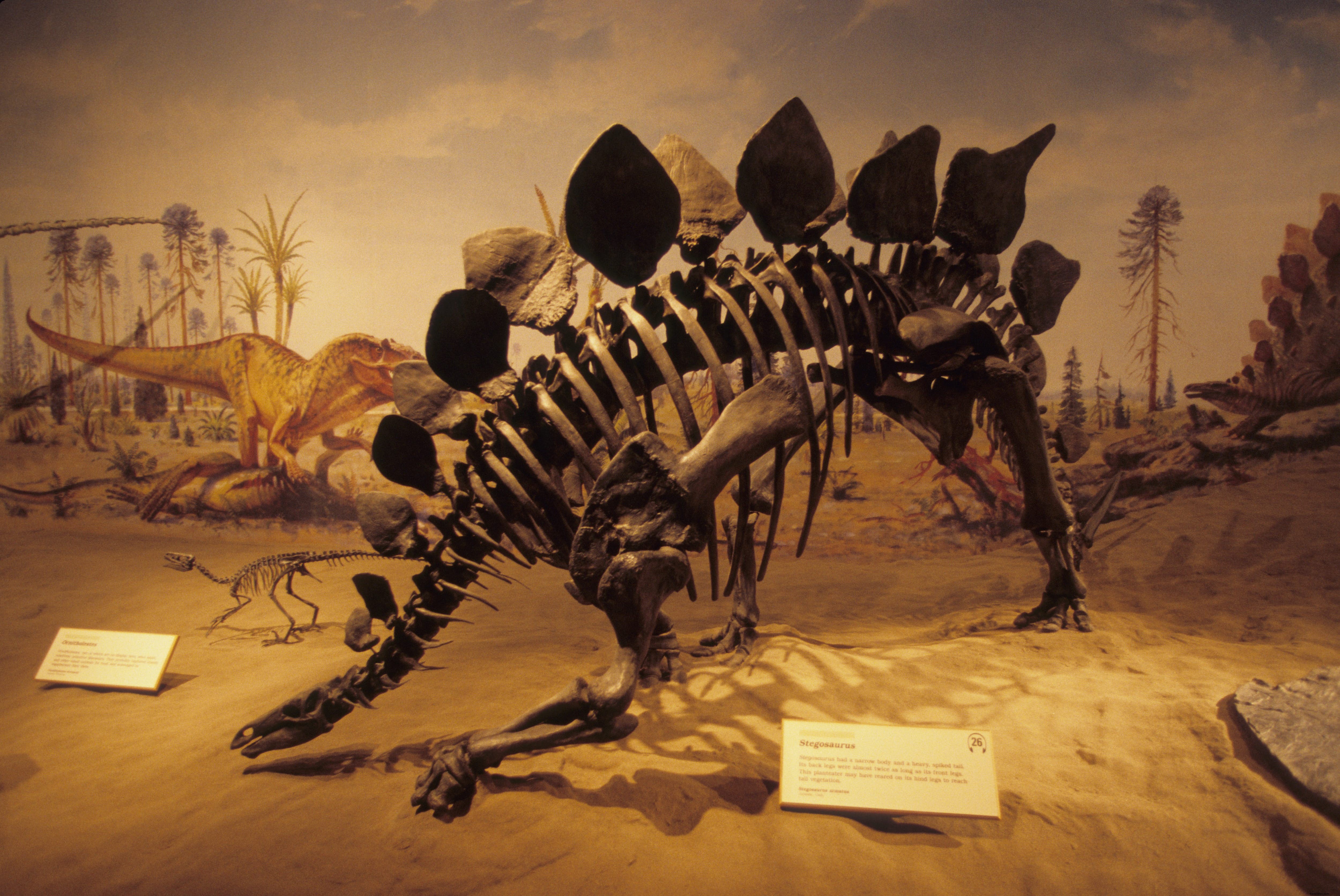 Museu Royal Tyrrell de Paleontologia 