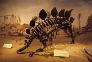Museo de Paleontología Royal Tyrrell 
