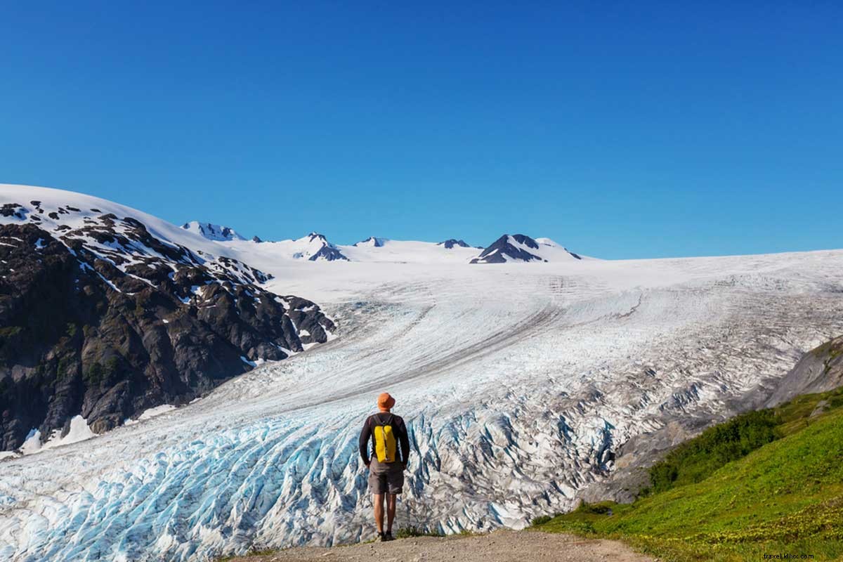 Cinco razões principais para visitar Anchorage no verão 