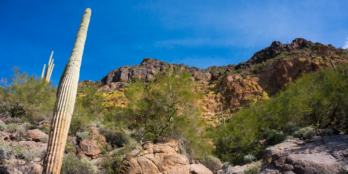 Panduan Mendaki Phoenix:10 Jalur Terbaik untuk Dijelajahi 