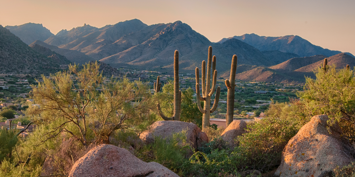 Guia de caminhada em Phoenix:10 das melhores trilhas para explorar 