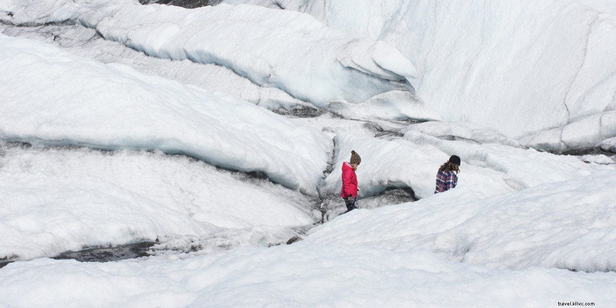 Les aventures les plus dignes d une photo en Alaska 