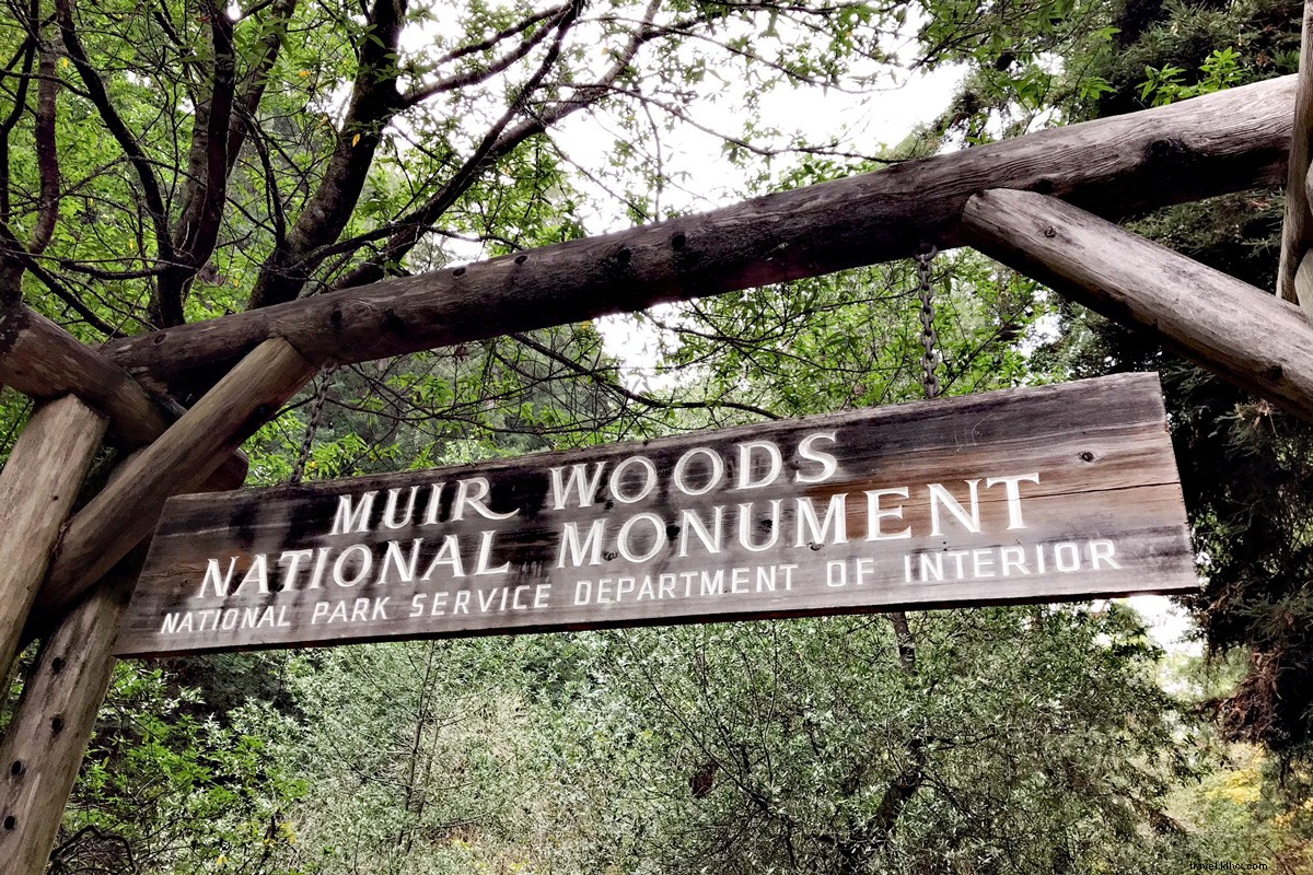 Muir boschi, Un posto magnifico:consigli per navigare nella foresta 