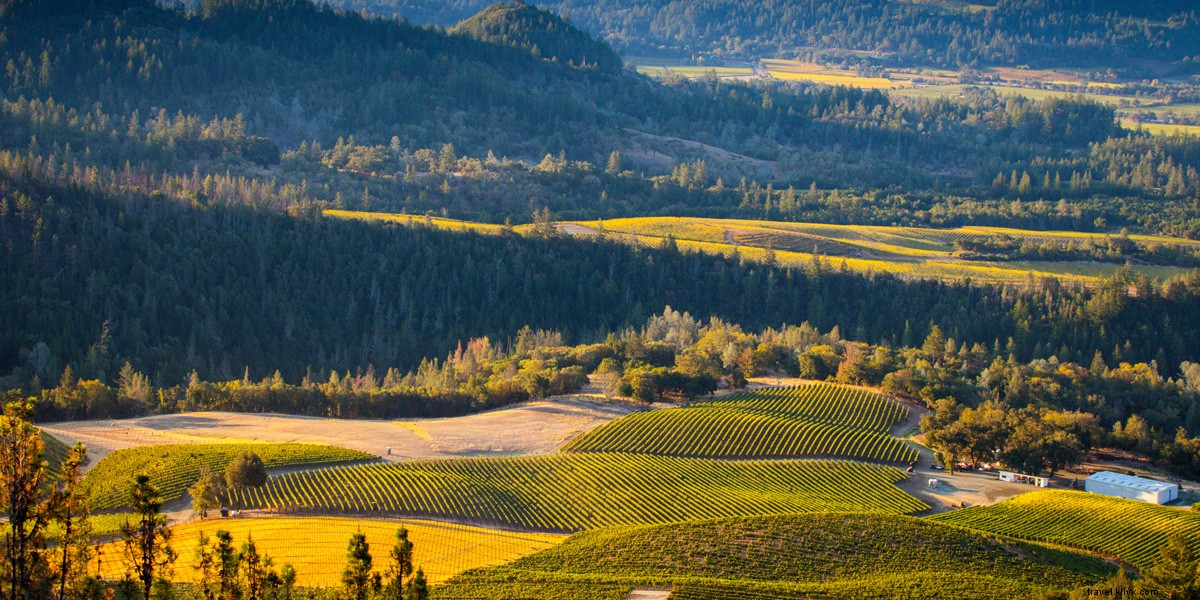 6 dei migliori abbinamenti vino e vista:Santa Rosa/Sonoma County 