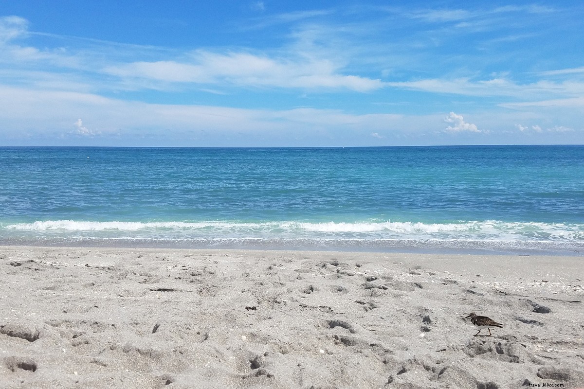Onde aproveitar as melhores vibrações de praia do condado de Palm Beach, Flórida 