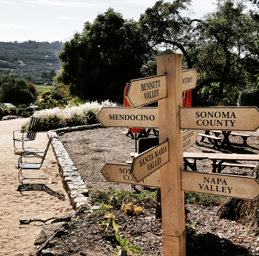 Tamara Waterston : Votre carte routière de la région viticole du comté de Santa Rosa/Sonoma 