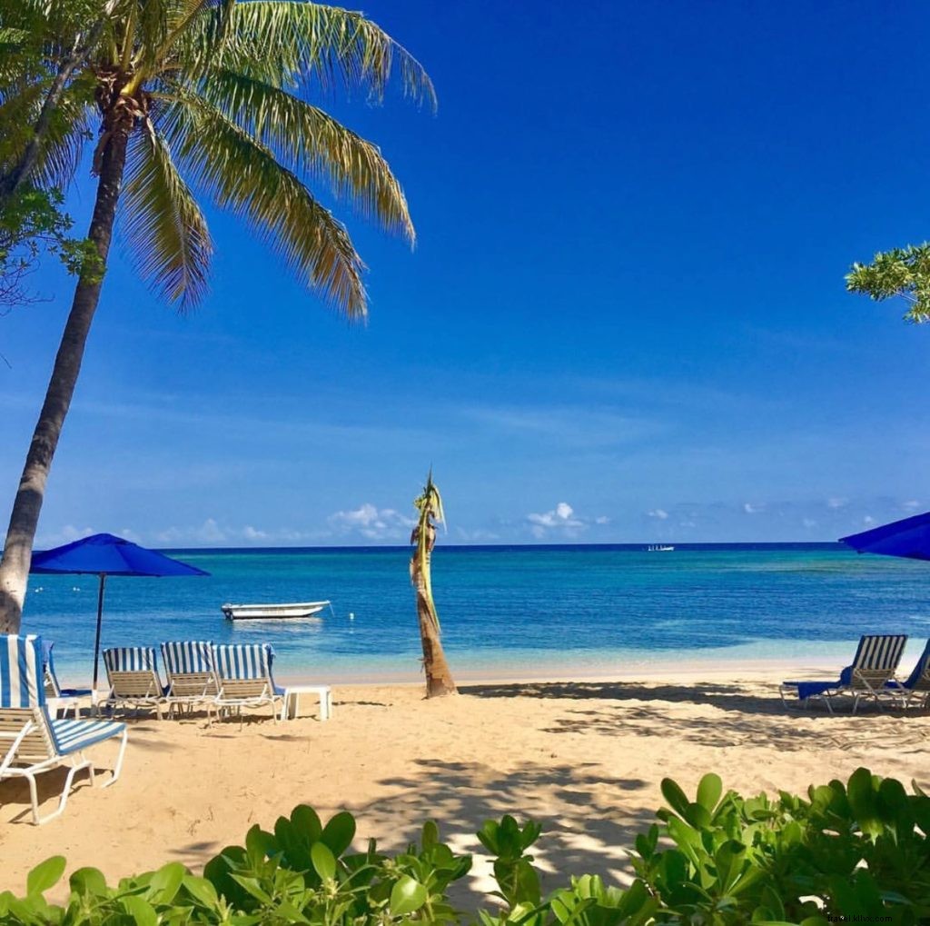 Instagram Montego Bay, Jamaïque :notre top 10 hebdomadaire 