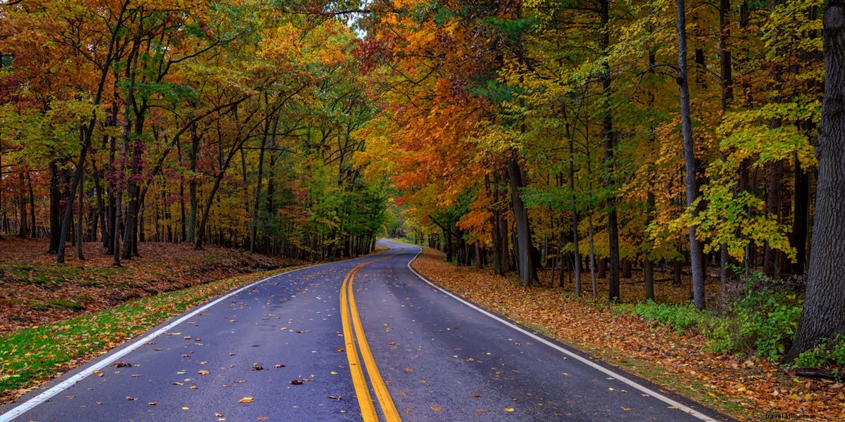 秋のドライブが最も美しい5つの目的地 