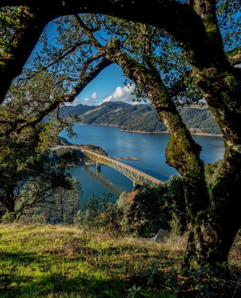 Instagram Santa Rosa / Sonoma County, Califórnia:nosso Top 10 da semana 