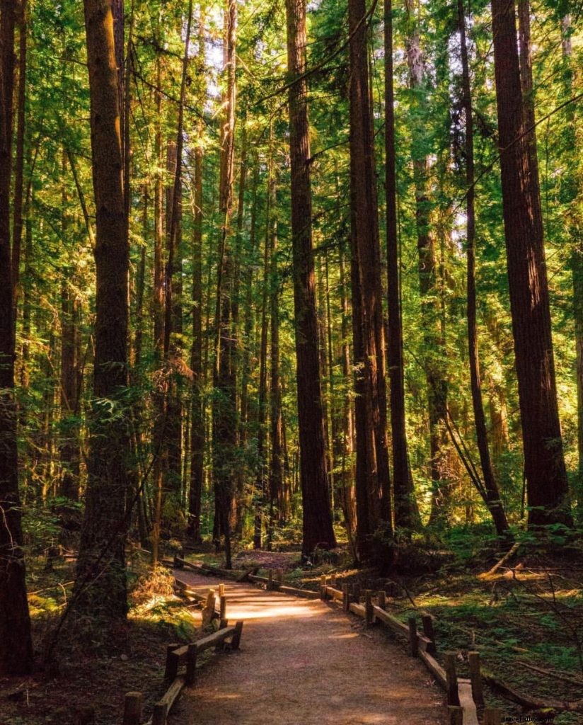 Instagram Contea di Santa Rosa/Sonoma, California:la nostra Top 10 settimanale 